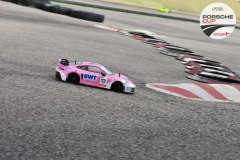 PCup-69