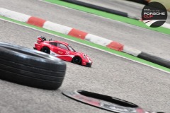 Porsche-Cup2-260