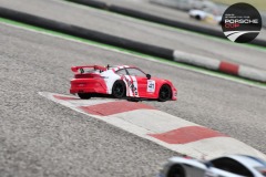 Porsche-Cup2-302