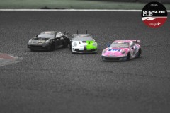 PorscheCup4-250
