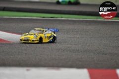 Porsche-Cup-286