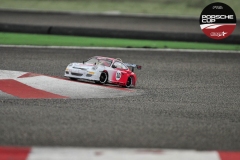 Porsche-Cup-287