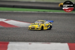 Porsche-Cup-291