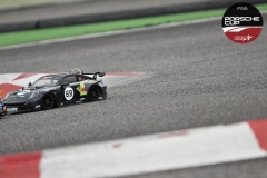 Porsche-Cup-300