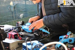 GP56-37_F1italianseries